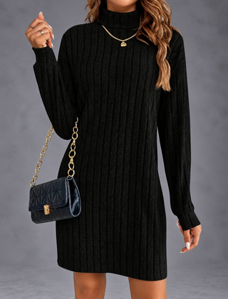 Isabella turtleneck sweater dress in black with gold accessories